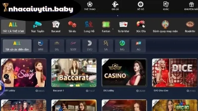 SClub88 – Cổng Giải Trí Trực Tuyến Đẳng Cấp Châu Á 4 Ưu đãi và dịch vụ chuyên nghiệp